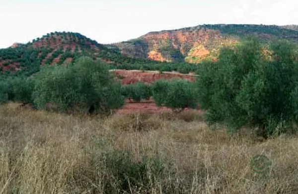 Parcela Rustica en Venta Vilches Jaen 2100m2