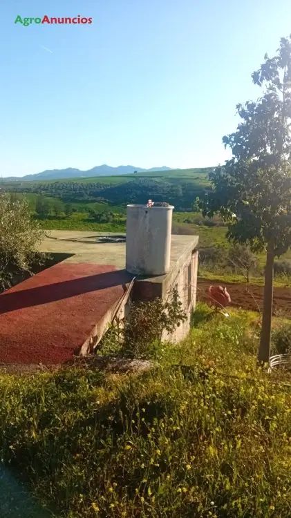 Venta de Finca de Regadío en Málaga - Costa del Sol