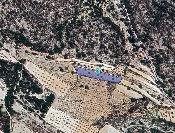 Parcela Agricola 2023m2 Monóvar Cerca de Alicante