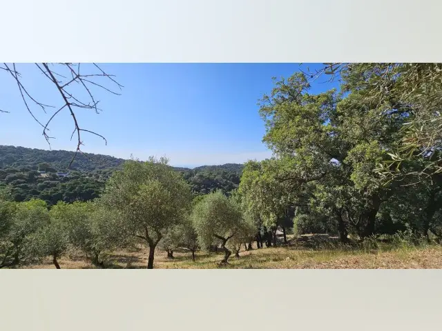 Terreno en venta Casares, España