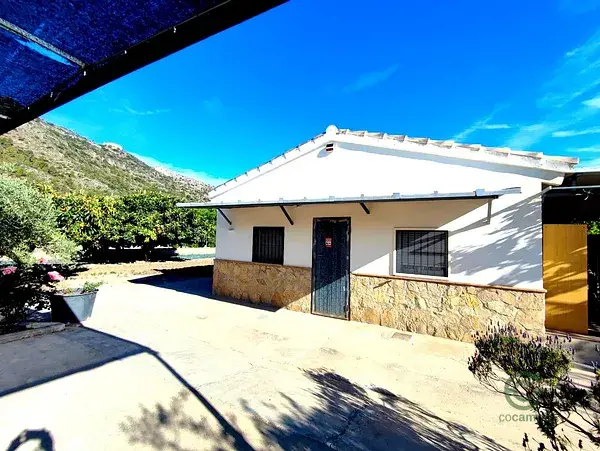 Chalet en Xativa con Parcela 1601m2 y Arboles Frutales