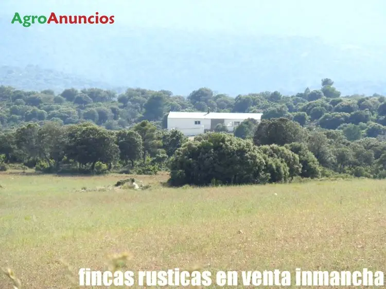 Venta  de Finca rustica de labor y monte en Murcia