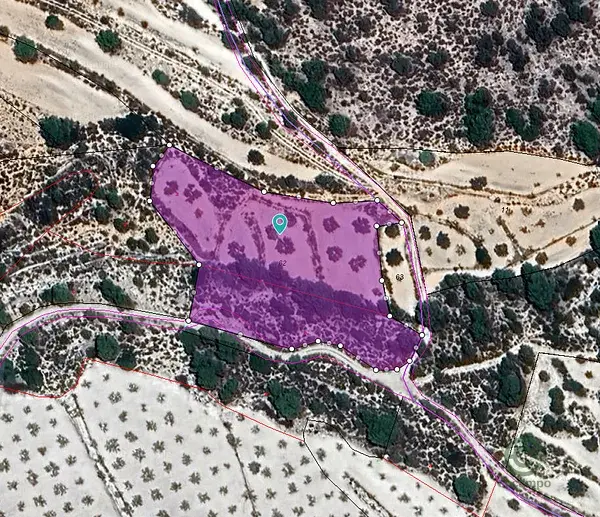 Parcela Agricola 9568m2 Monóvar Alicante