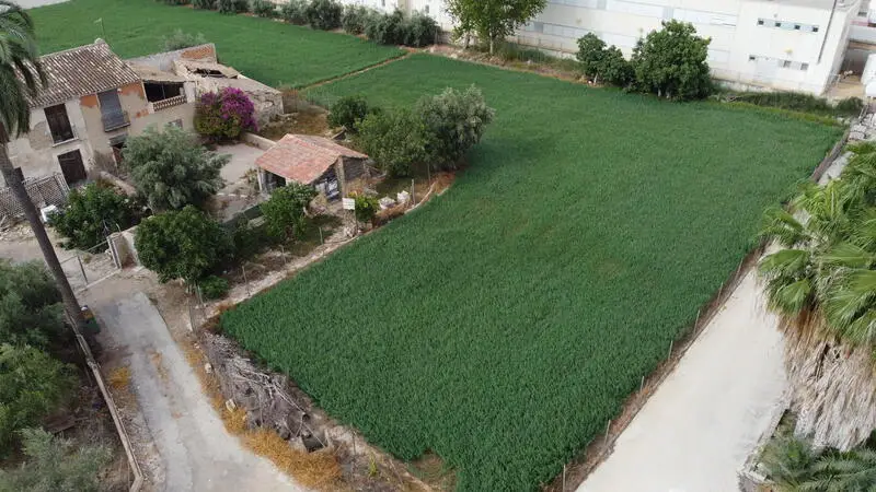 Cortijo con Encanto 6 Dormitorios Huerta Murcia