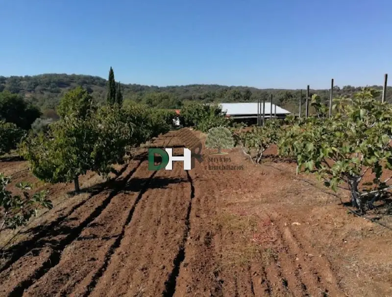 Finca Rustica en Cáceres con 7 Dormitorios y 6 Garajes