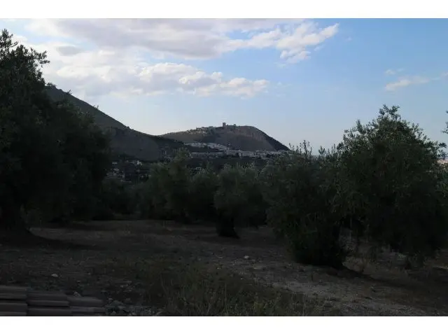 Finca Agricola 10 Hectareas 1400 Olivos Jaen