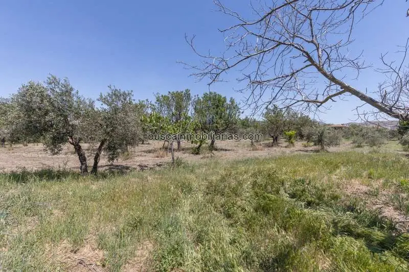 Parcela Rustica en Granada con Arboles Frutales