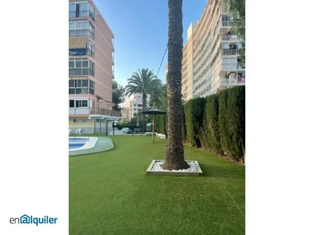 Alquiler Estudio Playa San Juan Septiembre 2025 Junio 2026