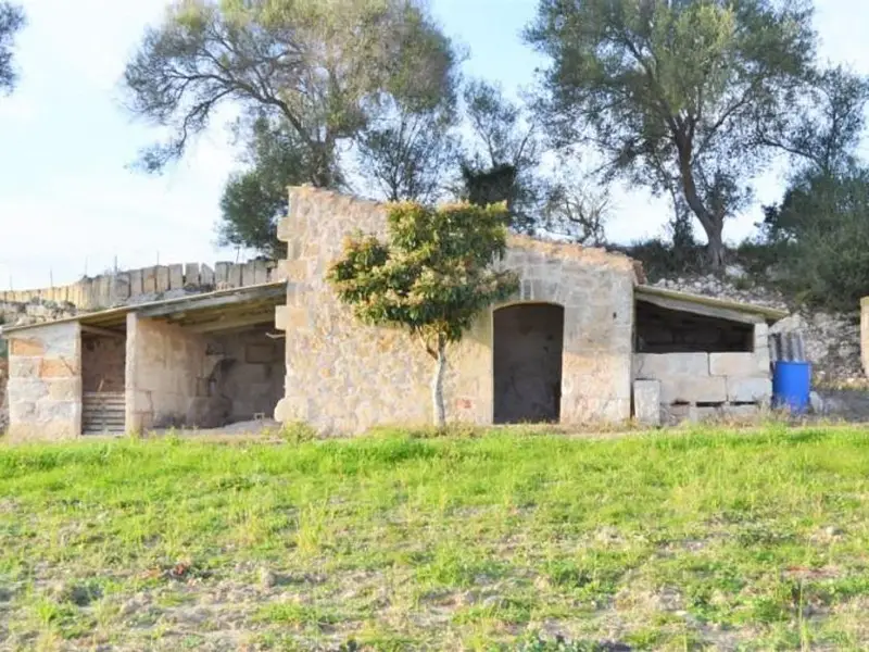 venta Chalet en Muro, Balears (Illes) (HUD-charme00373)- Globaliza