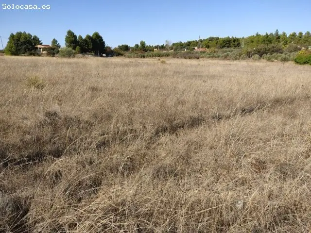 Parcela en Los Espetones Almansa 19500m2 con Pozo