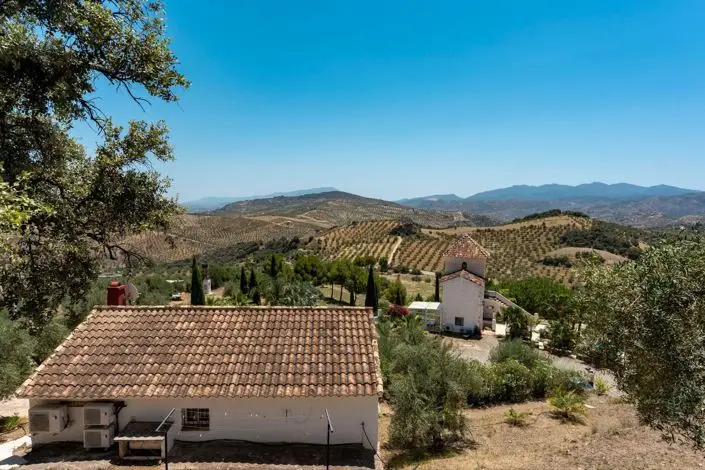 Finca con 13 Dormitorios en Venta Malaga