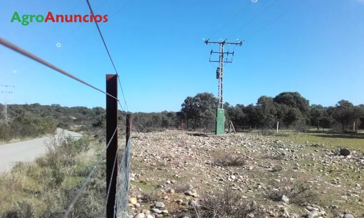 Venta  de Finca de regadío con cebadero en Cáceres