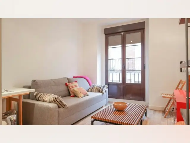 Apartamento 1 Dormitorio Madrid Centro Estudiantes