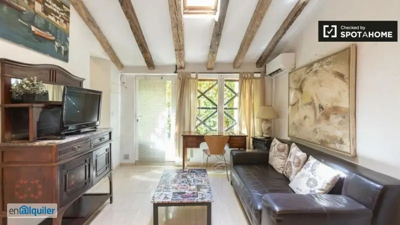 Apartamento 1 Dormitorio La Latina Madrid