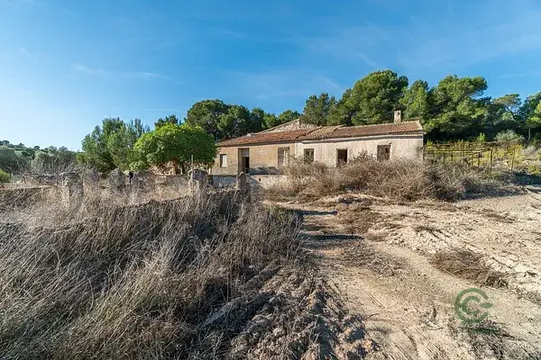 Finca Rustica con Vivienda en Pilar de la Horadada