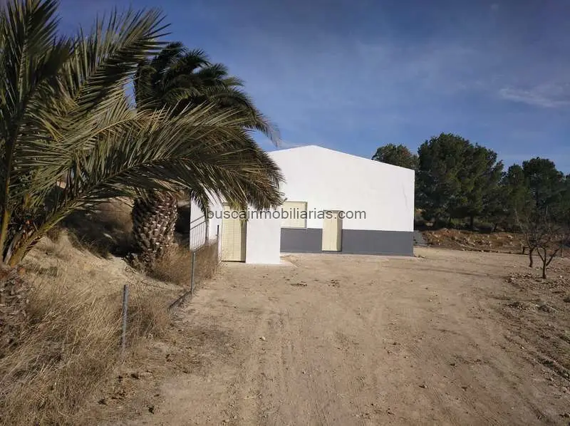Almacen y Terreno en Venta Yecla 60000m2