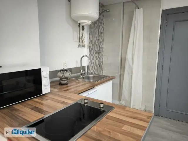 Alquiler Estudio Amueblado Centro Oviedo Mascotas