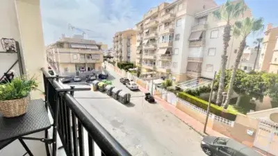 Apartamento en Alquiler Centro Torrevieja