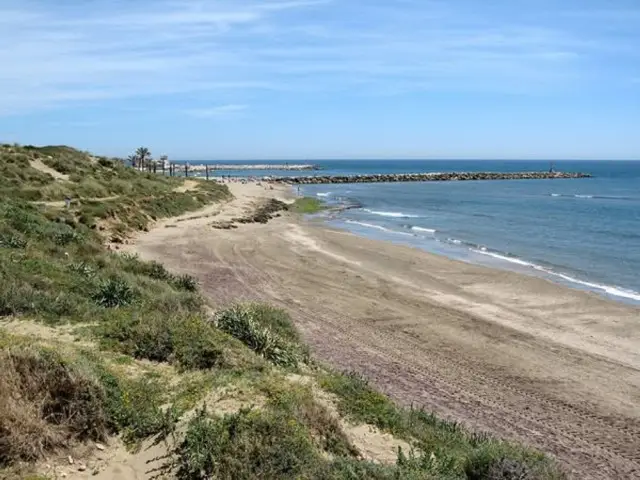 Apartamento 1 Dormitorio Alquiler Marbella Este