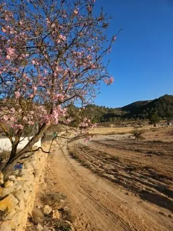 Venta Chalet Vistas Monovar Gran Potencial