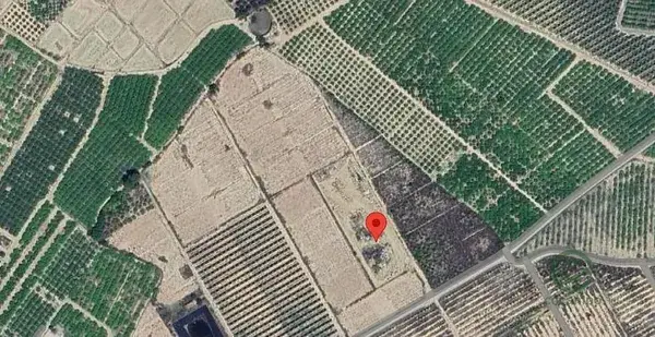 Finca Agricola 535ha Librilla Murcia Inversión