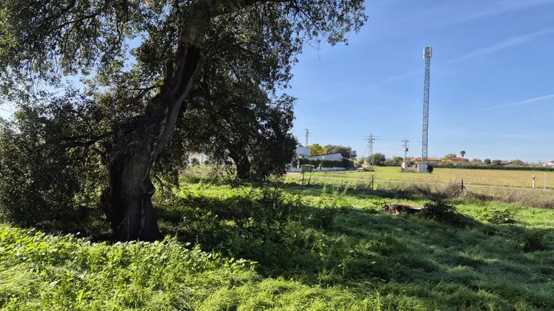 Venta Parcela Dehesilla Calamon Badajoz 10000m2