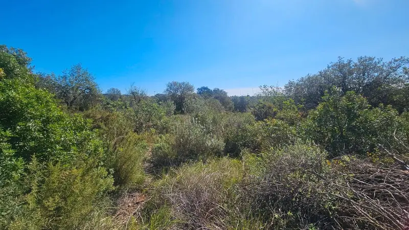 Finca Rustica en Calig Castellon con Posibilidad de Construccion