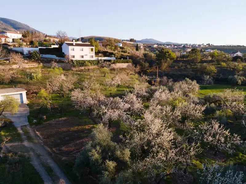 Venta Cortijo en Llanos, Colinas Bermejas Monachil - Ref: 2403