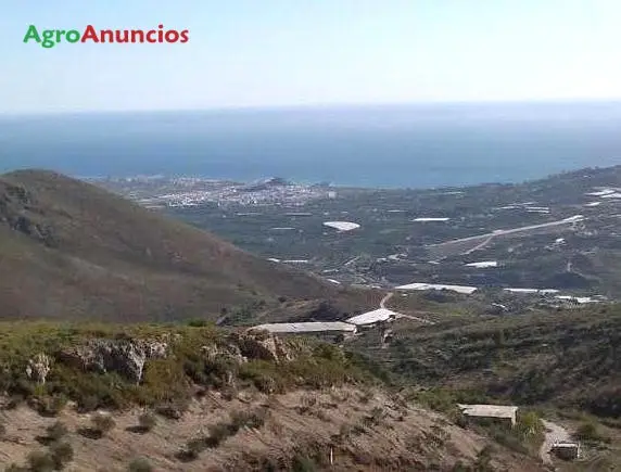 Venta  de Finca de regadío en Granada