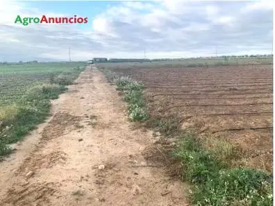 Venta  de Finca hortícola apta para invernadero en Almería