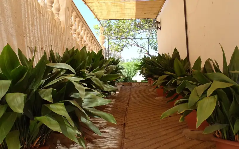 Edificio con 4 Apartamentos y Terreno en Orgiva Granada