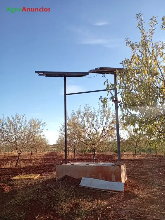 Venta  de Finca de regadío con almendros guara en Ciudad Real