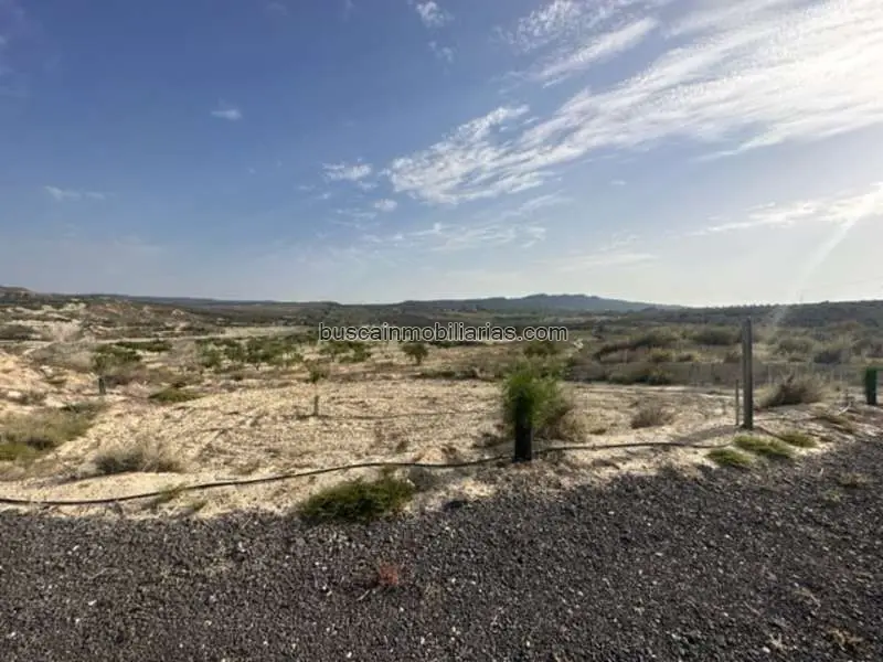 Parcela rústica en venta en Orihuela Torremendo