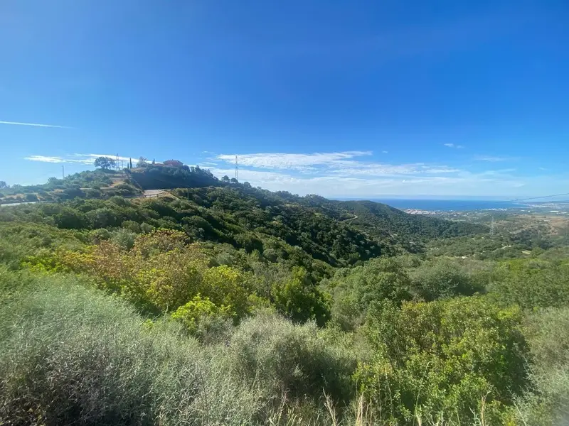 Terreno en Venta Los Reales Estepona 36865m2 Vistas al Mar