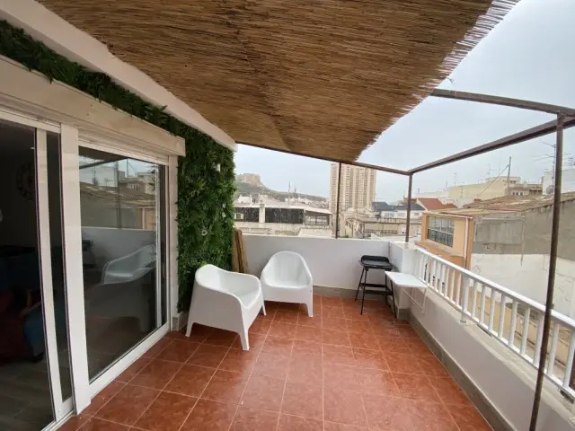 Habitacion Alquiler Alicante Centro Apartamento Reformado