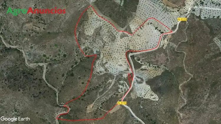 Venta  de Finca de almendros en Almería