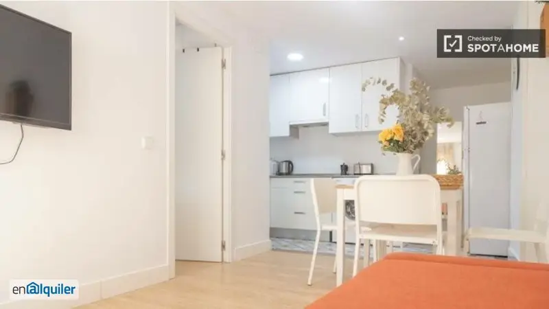 apartamento de 1 dormitorio en alquiler en Malasaña