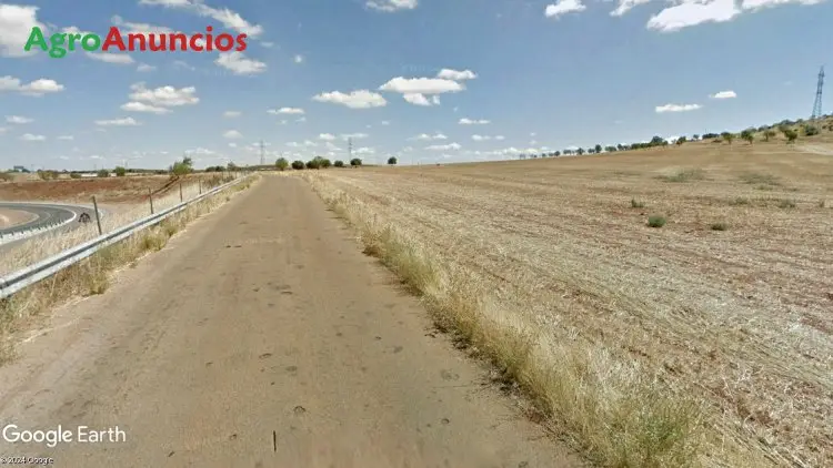 Venta  de Terreno de labor secano en Ciudad Real