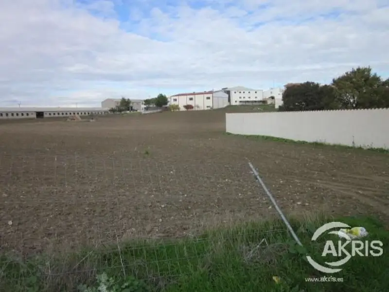 Venta Suelo Rustico Villaluenga de la Sagra 2 Fincas