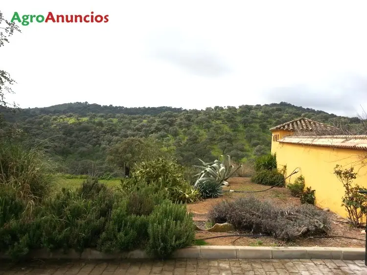 Venta  de Finca cinegética en Córdoba