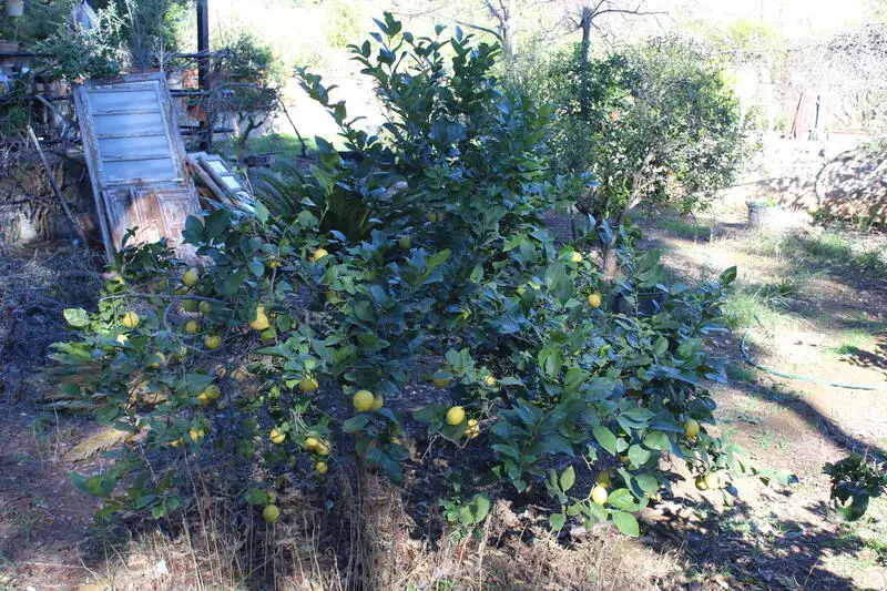 Parcelas en Venta Montealegre La Eliana