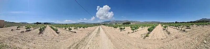 Terrenos en Venta Salinas Alicante
