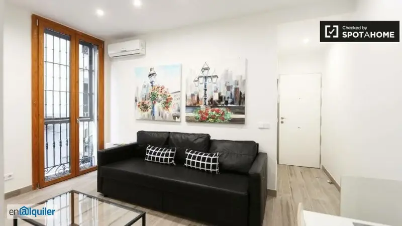 Apartamento 1 Dormitorio Trafalgar Madrid