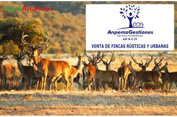 Venta  de Finca de recreo en Córdoba