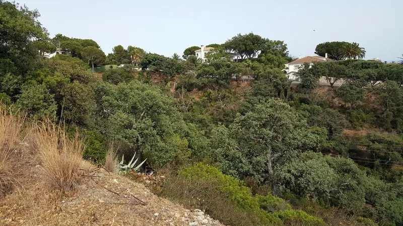 Parcelas en Venta Elviria Marbella