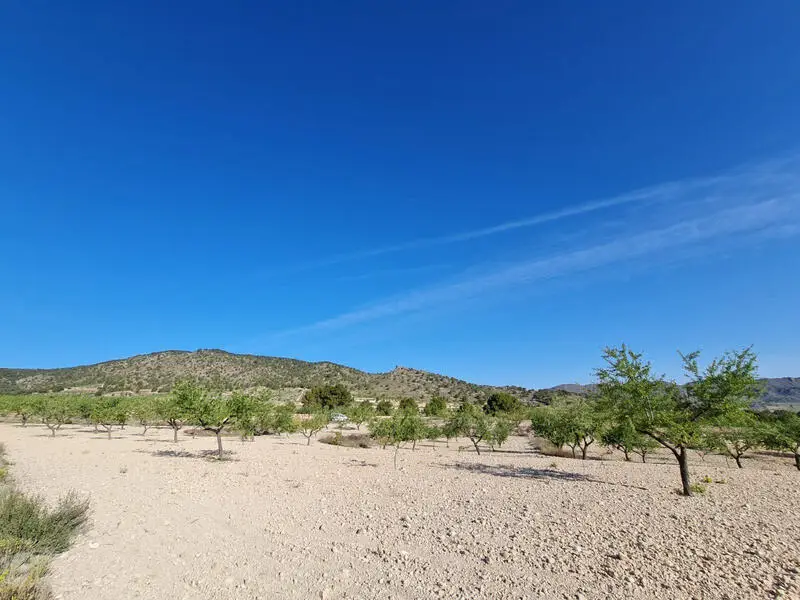 Terreno en Venta Raspay 49568m2 Ideal Casa Agricola Comercial