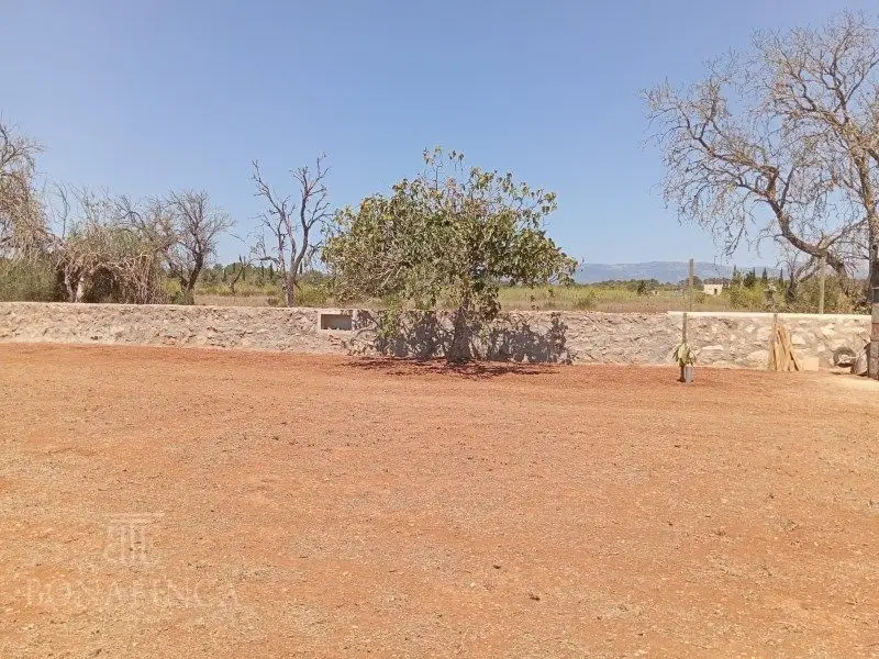 Venta Suelo Rustico Algaida 2700m2 - Ref BB 001