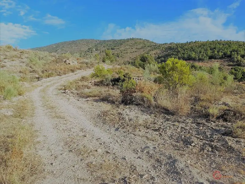 Venta Terreno 32000m2 Velez Benaudalla Gran Capacidad Agua