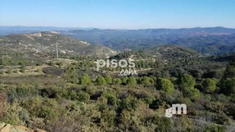 Finca Rustica 47 Hectareas Zalamea la Real
