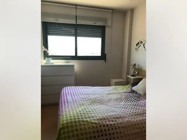 Habitacion Alquiler Murcia Apartamento Dali